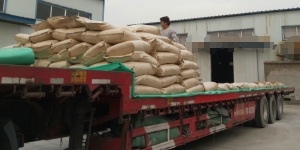 lactic-acid-powder-60%-delivery